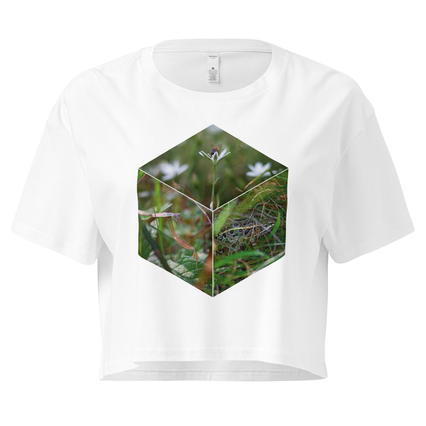 Earth Cotton Crop Top